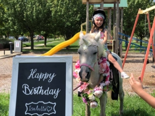 Blossoms Pony Parties Rides Party Kids Birthday Ideas Melbourne Berwick Beaconsfield Cranbourne Officer