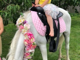 Blossoms Pony Parties Rides Party Kids Birthday Ideas Melbourne Berwick Beaconsfield Cranbourne Officer