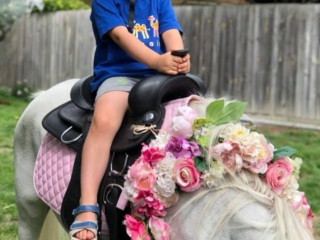 Blossoms Pony Parties Rides Party Kids Birthday Ideas Melbourne Berwick Beaconsfield Cranbourne Officer