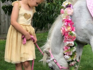 Blossoms Pony Parties Rides Party Kids Birthday Ideas Melbourne Berwick Beaconsfield Cranbourne Officer