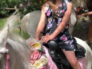 Blossoms Pony Parties Rides Party Kids Birthday Ideas Melbourne Berwick Beaconsfield Cranbourne Officer
