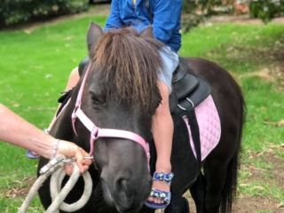 Blossoms Pony Parties Rides Party Kids Birthday Ideas Melbourne Berwick Beaconsfield Cranbourne Officer