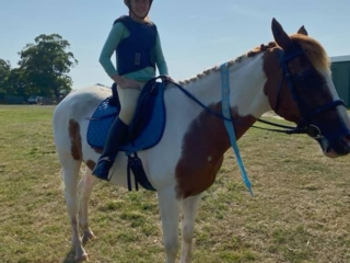 Blossoms Pony Parties Rides Party Kids Birthday Ideas Melbourne Berwick Beaconsfield Cranbourne Officer