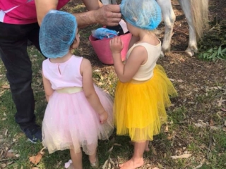 Blossoms Pony Parties Rides Party Kids Birthday Ideas Melbourne Berwick Beaconsfield Cranbourne Officer