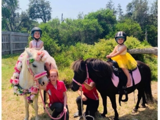 Blossoms Pony Parties Rides Party Kids Birthday Ideas Melbourne Berwick Beaconsfield Cranbourne Officer