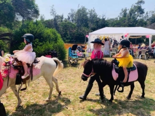 Blossoms Pony Parties Rides Party Kids Birthday Ideas Melbourne Berwick Beaconsfield Cranbourne Officer