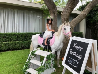 Blossoms Pony Parties Rides Party Kids Birthday Ideas Melbourne Berwick Beaconsfield Cranbourne Officer