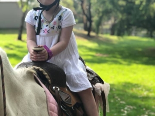 Blossoms Pony Parties Rides Party Kids Birthday Ideas Melbourne Berwick Beaconsfield Cranbourne Officer