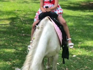 Blossoms Pony Parties Rides Party Kids Birthday Ideas Melbourne Berwick Beaconsfield Cranbourne Officer