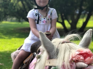 Blossoms Pony Parties Rides Party Kids Birthday Ideas Melbourne Berwick Beaconsfield Cranbourne Officer