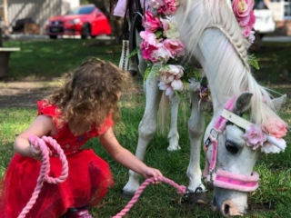Blossoms Pony Parties Rides Party Kids Birthday Ideas Melbourne Berwick Beaconsfield Cranbourne Officer