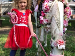 Blossoms Pony Parties Rides Party Kids Birthday Ideas Melbourne Berwick Beaconsfield Cranbourne Officer
