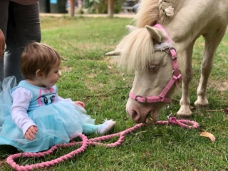 Blossoms Pony Parties Rides Party Kids Birthday Ideas Melbourne Berwick Beaconsfield Cranbourne Officer
