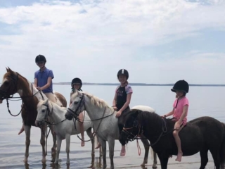 Blossoms Pony Parties Rides Party Kids Birthday Ideas Melbourne Berwick Beaconsfield Cranbourne Officer