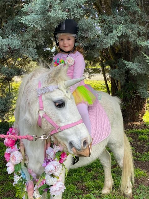 Blossoms Pony Parties Rides Party Kids Birthday Ideas Melbourne Berwick Beaconsfield Cranbourne Officer