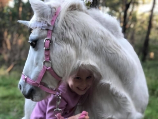 Blossoms Pony Parties Rides Party Kids Birthday Ideas Melbourne Berwick Beaconsfield Cranbourne Officer